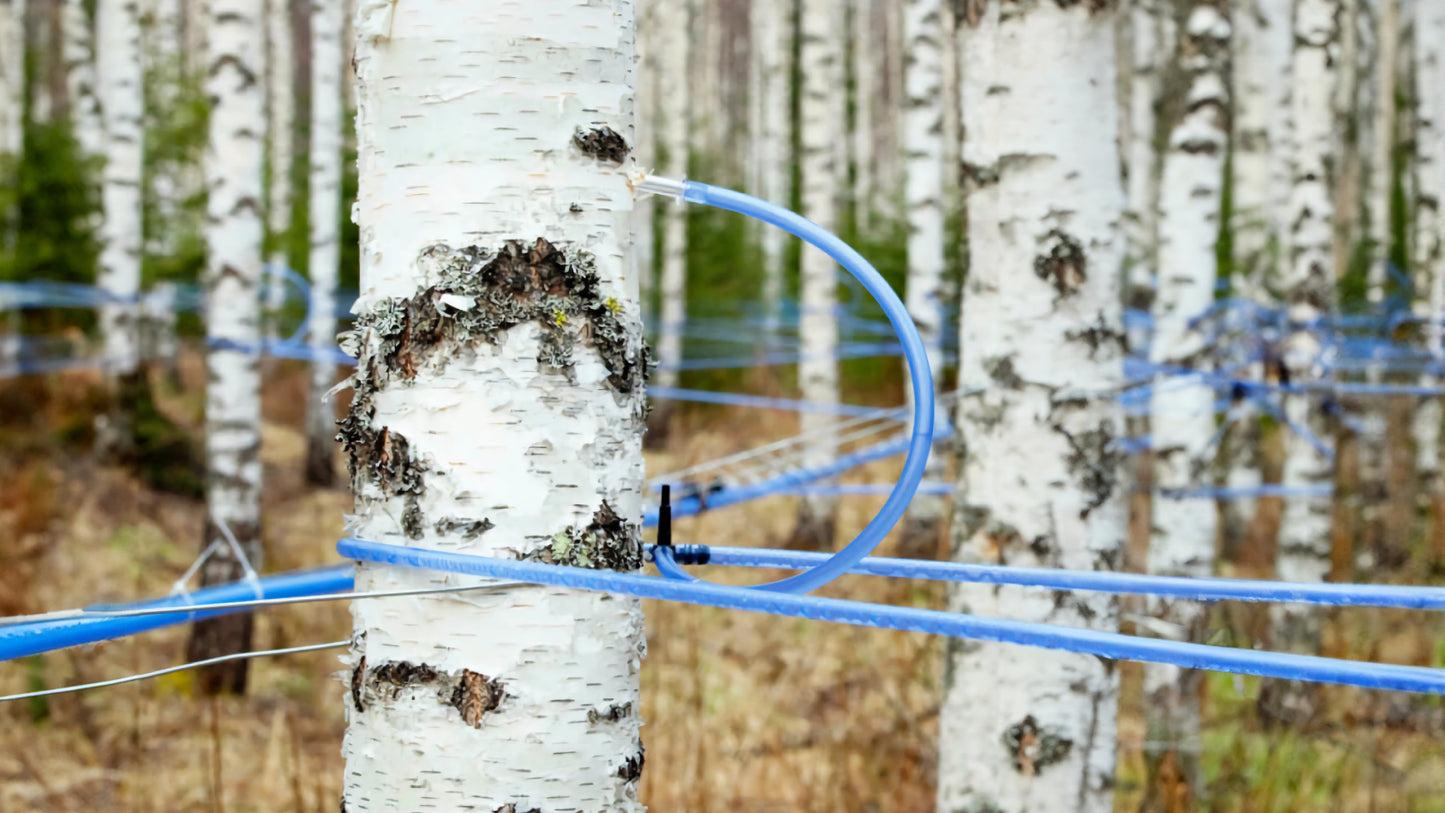 Nordic Tree Water
