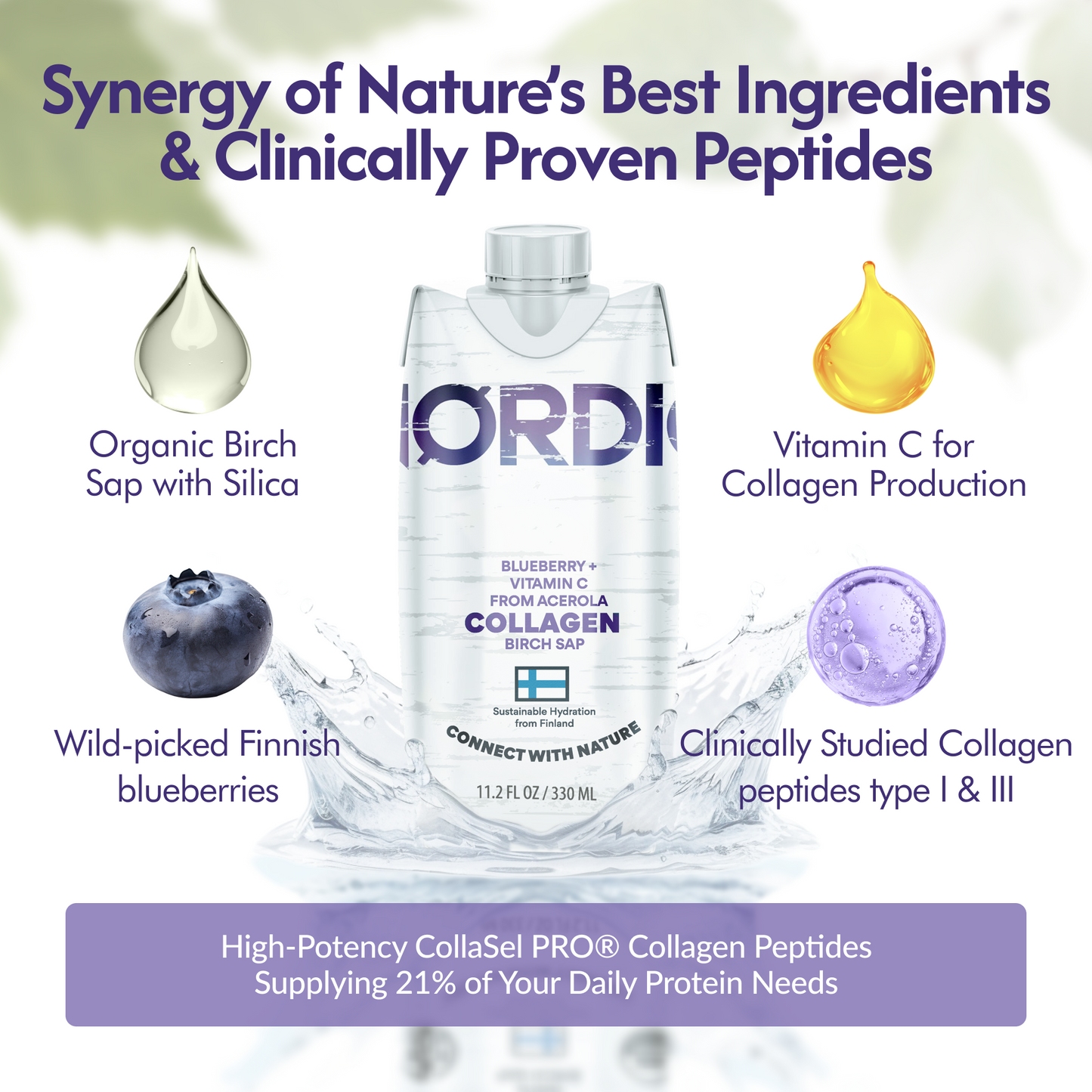 
                  
                    Collagen peptide - Organic birch sap, wild Blueberry and Vitamin C, 10 grams Collagen Peptide | 12 pack
                  
                