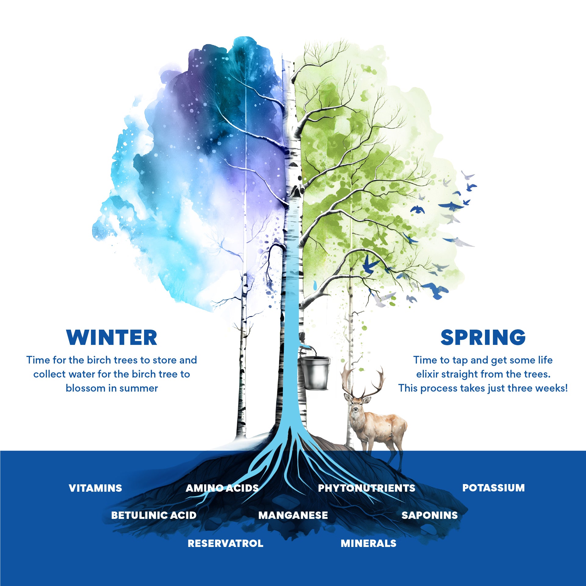 Nordic Tree Water
