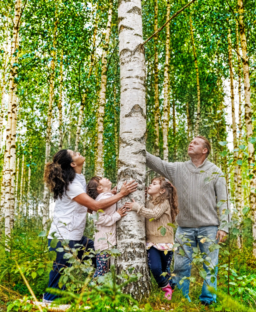 Nordic Tree Water